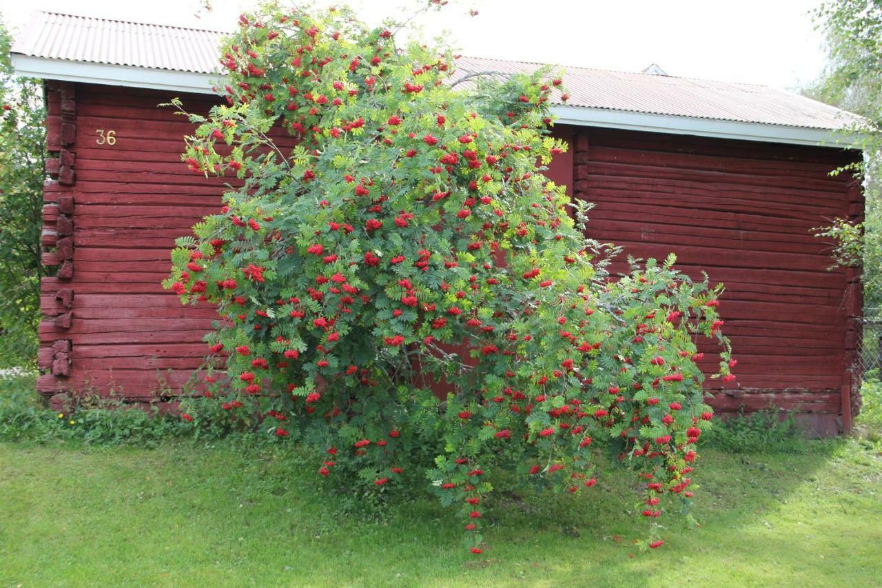 Apartament Idyllinen Kaksio Kankaanpää Zewnętrze zdjęcie